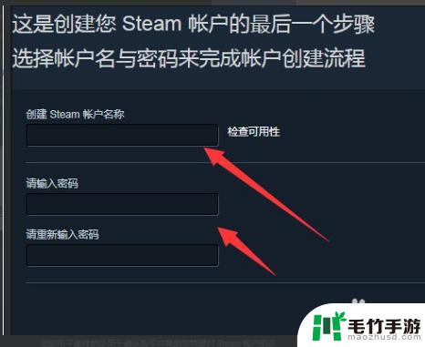 steam注册的电子邮件地址怎么填