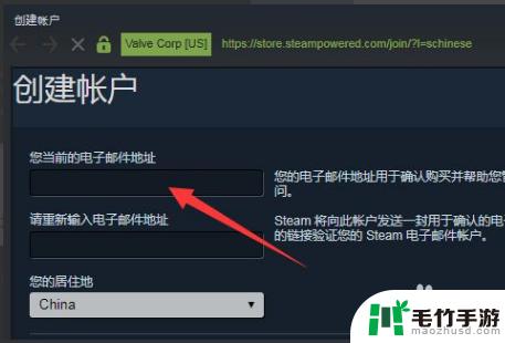 steam注册的电子邮件地址怎么填