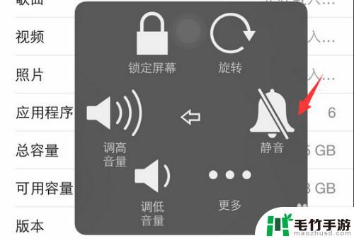 苹果手机经常没声音是怎么回事