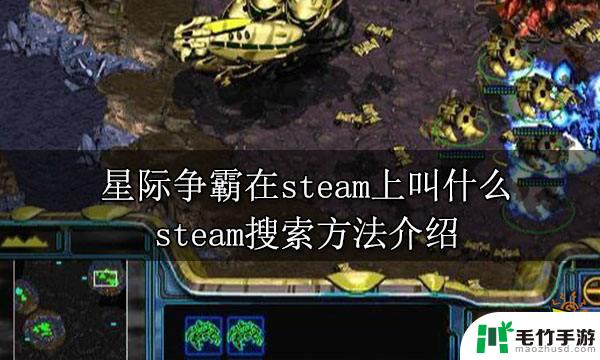 星际争霸steam在steam有下载吗