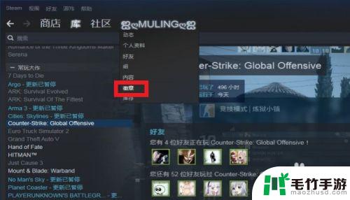 steam合闪卡