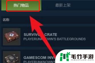 steam卖出的衣服怎么提现