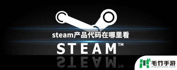 steam游戏代码怎么看